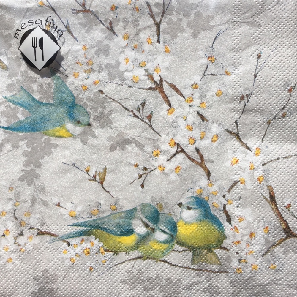 MesaFina Birds Waiting for Spring Paper Luncheon Napkins, 20 ct